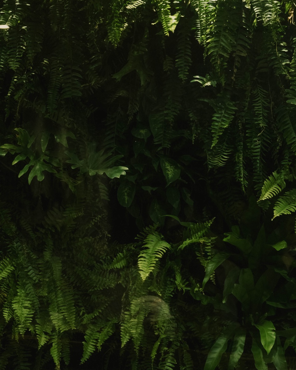 Jardim vertical