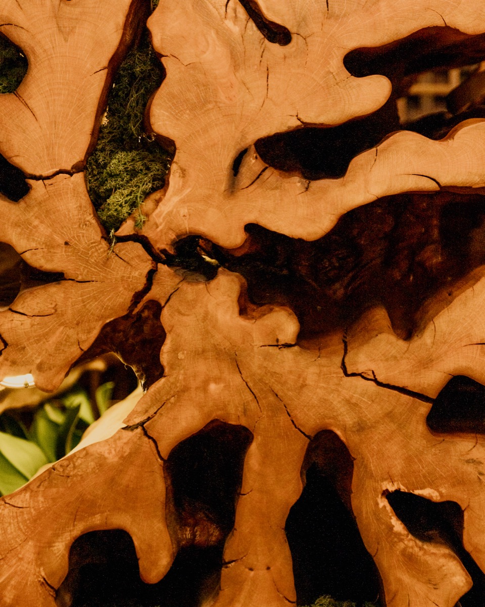 Madeira orgânica